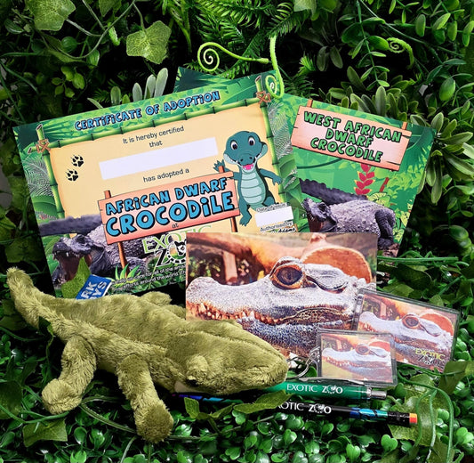 Crocodile Adoption Pack