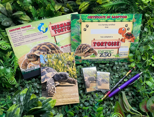 Tortoise Adoption Pack