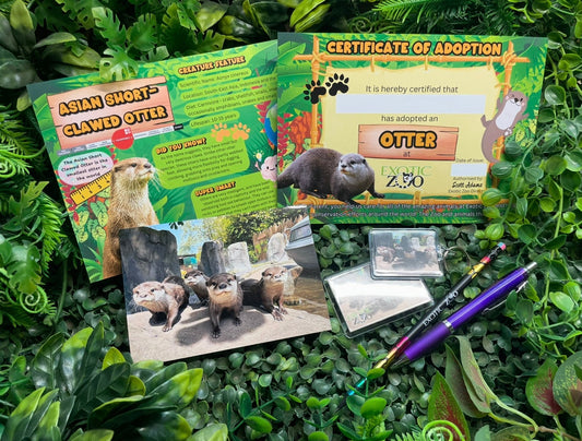 Otter Adoption Pack