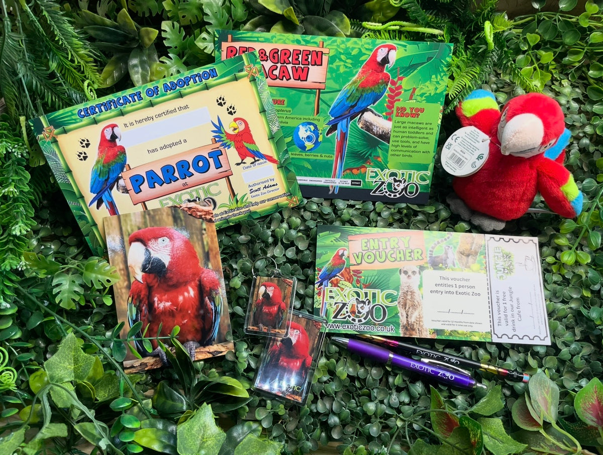 Parrot Adoption Pack