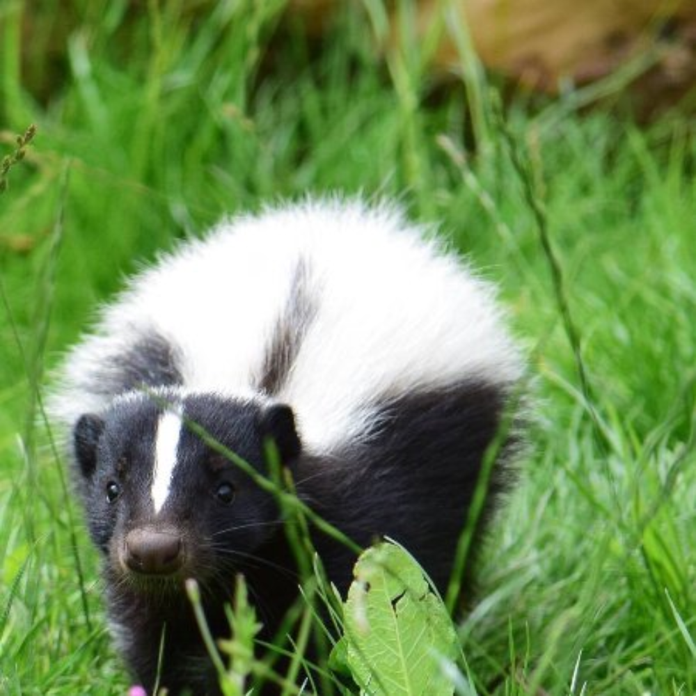 VIP Private Photography Experience