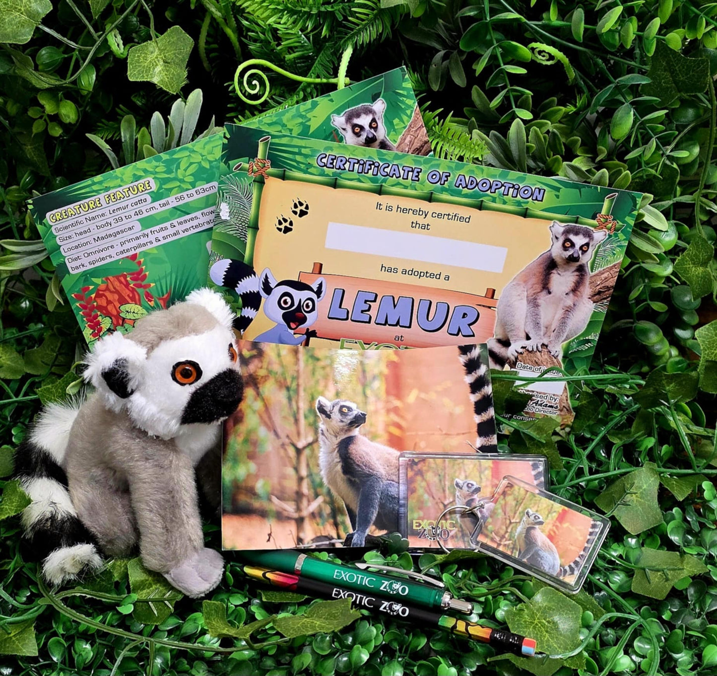 Lemur Adoption Pack