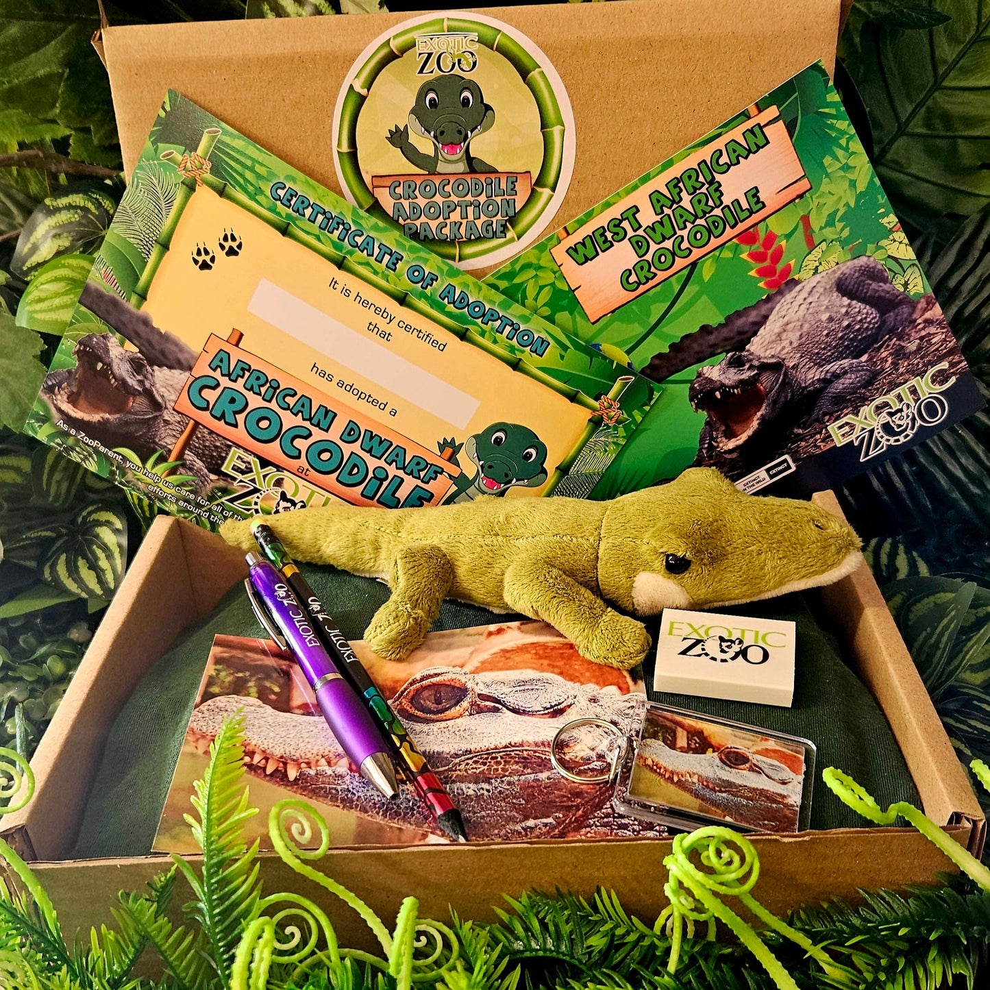Crocodile Adoption Pack