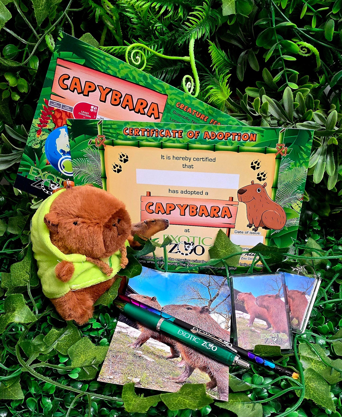 Capybara Adoption Pack