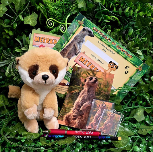 Meerkat Adoption Pack