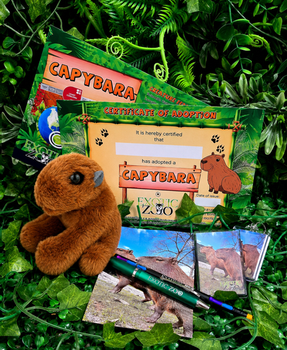 Capybara Adoption Pack