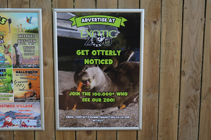 Wild Welcome Placement