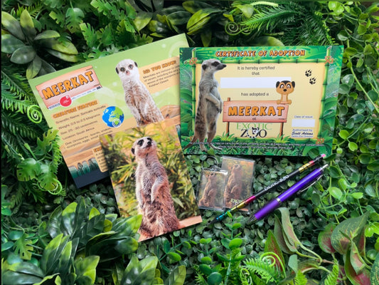 Meerkat Adoption Pack