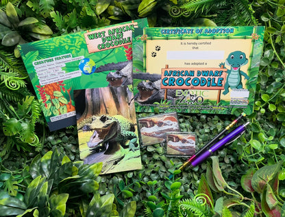 Crocodile Adoption Pack