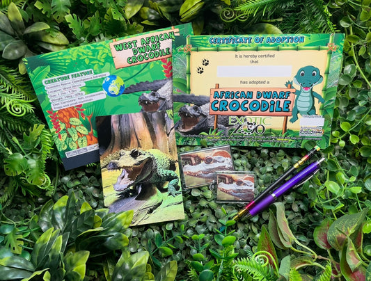Crocodile Adoption Pack