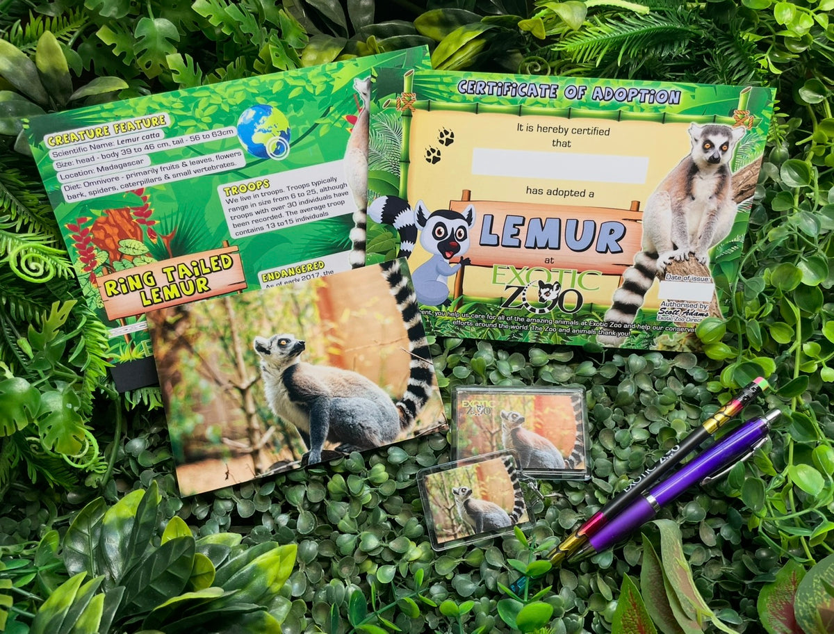 Lemur Adoption Pack