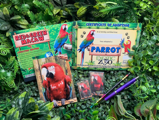 Parrot Adoption Pack
