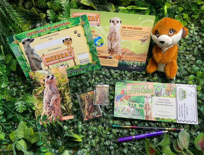 Meerkat Adoption Pack