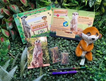 Meerkat Adoption Pack