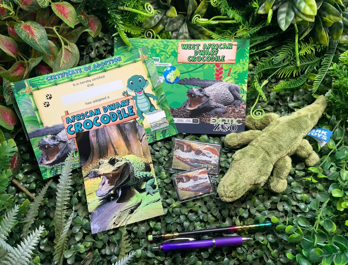 Crocodile Adoption Pack