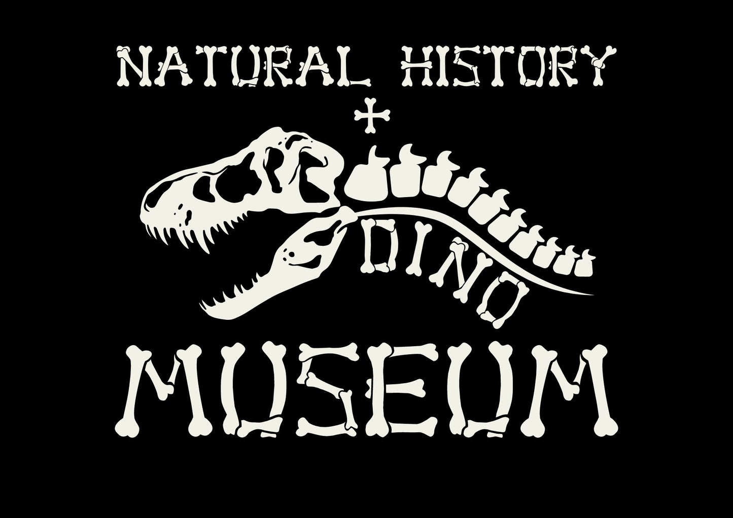 Fossil Preparation Lab Experience (Ages 14+)