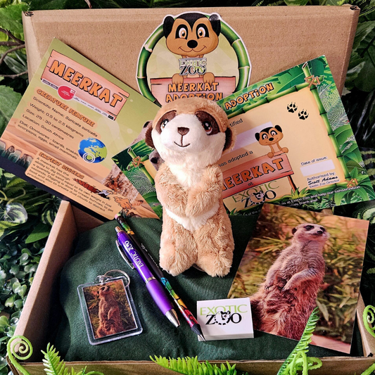 Meerkat Adoption Pack
