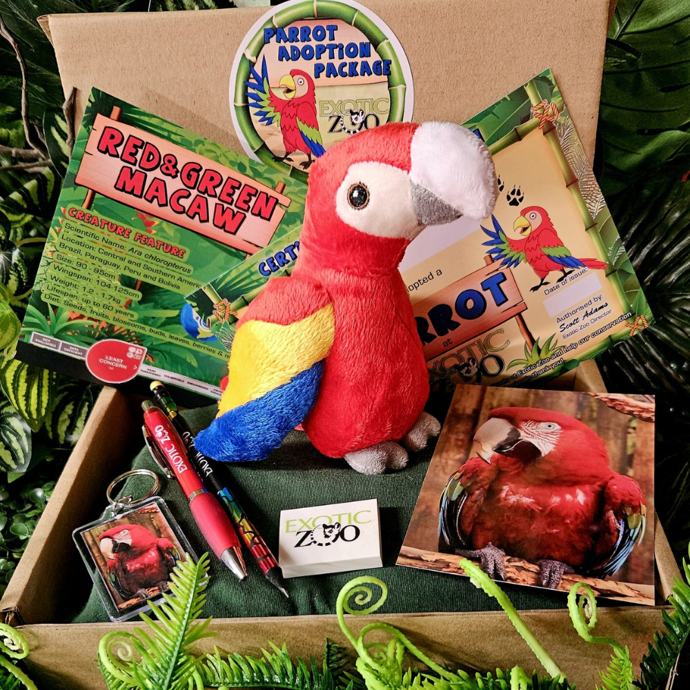 Parrot Adoption Pack