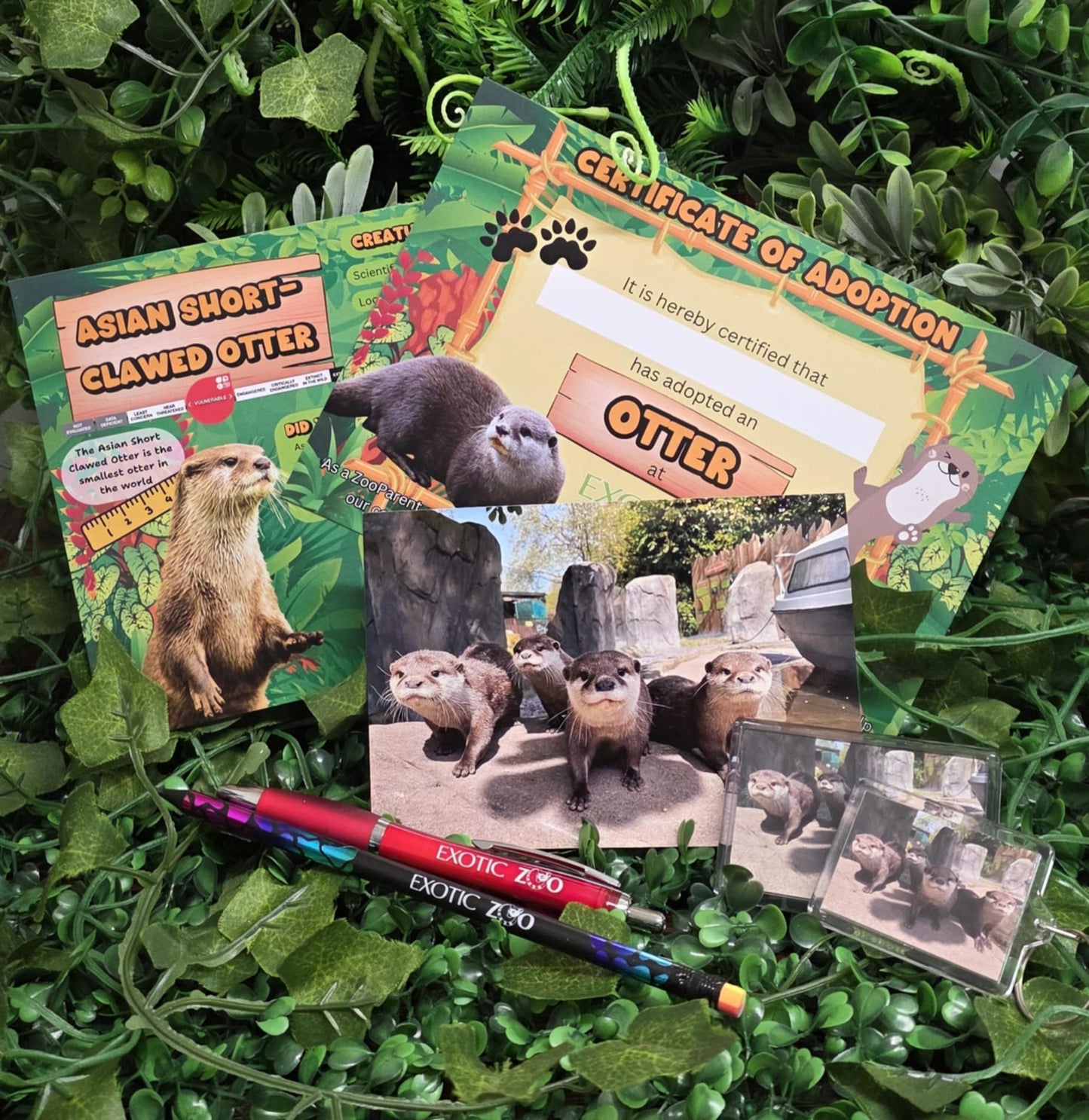 Otter Adoption Pack