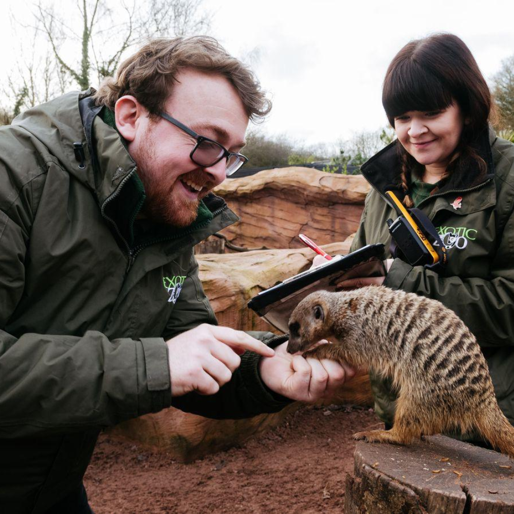 Experience – Exotic Zoo Telford